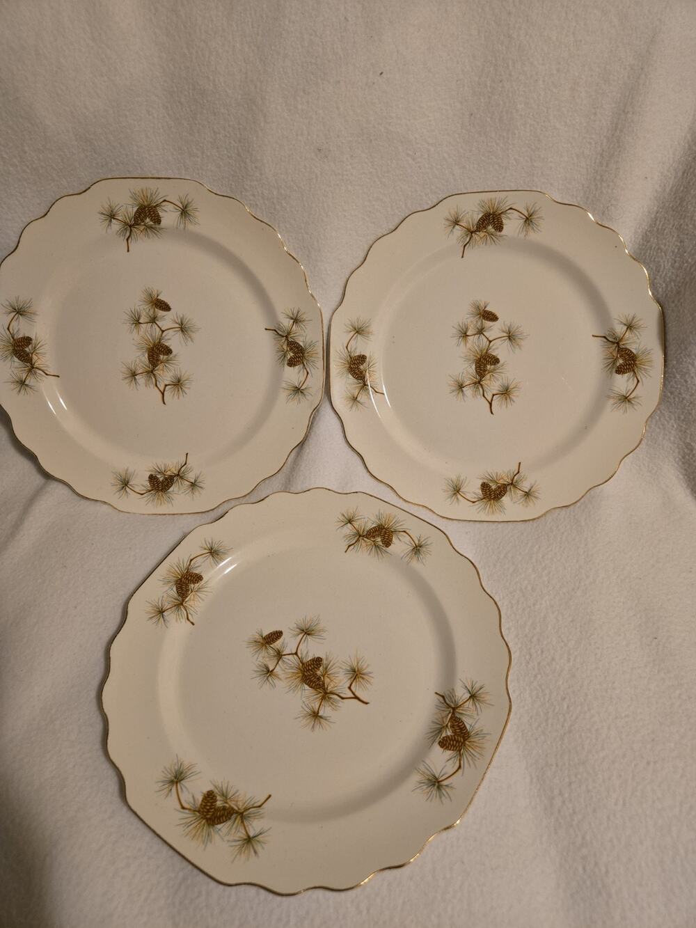 W.S. George Pine Cone pattern dinner 3